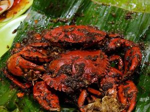 Bikin Ngiler! Siap-siap Tercapit Kepiting Asap yang Menggiurkan
