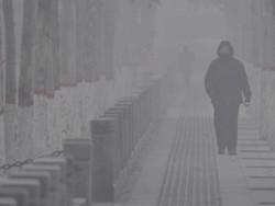 Studi Terbaru: Polusi Udara Turunkan Kemampuan Belajar Siswa