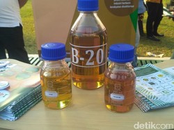Harga Biodiesel Turun Tipis ke Rp 7.387/Liter