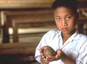 Mirip Mainan, Bom Curah Tewaskan Banyak Anak-anak di Dunia