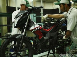 Ayam Jago Honda Punya Striping Baru