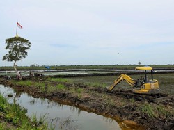 Jelang Hari Pangan Dunia, Kementan Genjot Pemanfaatan Lahan Rawa