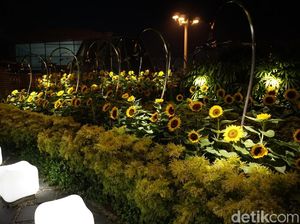 Foto: Bandara yang Punya Taman Bunga Matahari