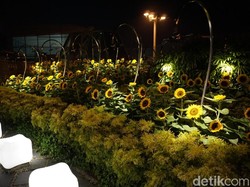 Ada Taman Bunga Matahari di Bandara Ini, Percaya?