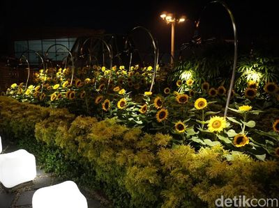 Foto: Bandara yang Punya Taman Bunga Matahari