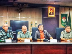 Kementan Pastikan Produksi Ayam Ras Surplus