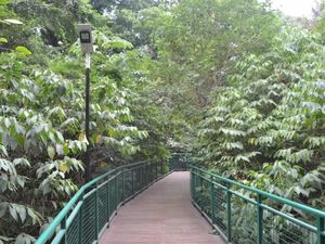 Sejarah Hutan Kota Babakan Siliwangi Bandung, Lokasi dan Faktanya Sejarah Hutan Kota Babakan Siliwangi Bandung, Lokasi dan Faktanya