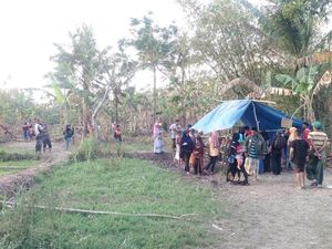 Semburan Lumpur Diyakini Obati Stroke, Amaq Gelar Ruwatan Semburan Lumpur Diyakini Obati Stroke, Amaq Gelar Ruwatan
