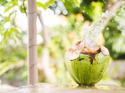 Ini Alasan Mengapa Sebaiknya Minum Air Kelapa Usai Olahraga