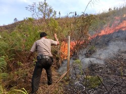 Polres Lingga di Kepri Bentuk Satgas Karhutla