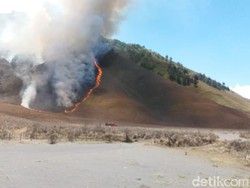 Stop! Wisatawan Dilarang Masuk Padang Savana dan Bukit Teletubbies