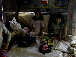 Ada di Pekalongan, Sekeluarga Hidup di Dalam Kandang Kerbau