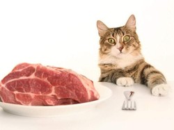 Waduh! Restoran ini Olah Daging Pakan Hewan Jadi Menu Kari