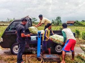 Cara Kementan Hidupkan Lahan-lahan Kering Agar Produktif
