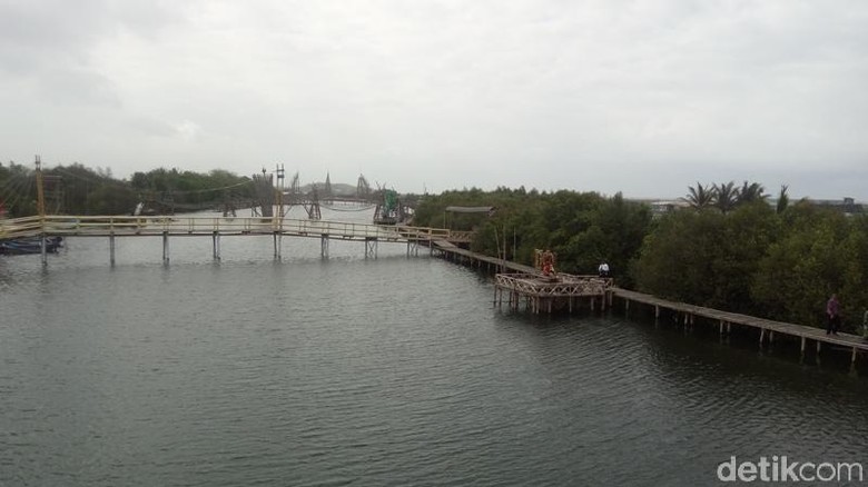 Hutan Mangrove di Kulonprogo, DI Yogyakarta (Eko/detikTravel) Hutan Mangrove di Kulonprogo, DI Yogyakarta (Eko/detikTravel)