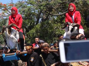 6 Pesilat Peraih Emas Asian Games Diarak Keliling Kota Garut