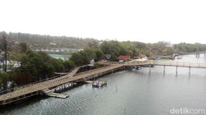 Foto: Hutan Mangrove di Kulon Progo, Begini Cantiknya