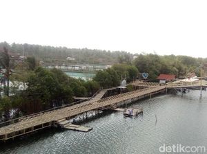Foto: Hutan Mangrove di Kulon Progo, Begini Cantiknya