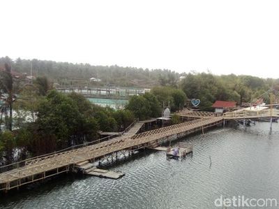 Foto: Hutan Mangrove di Kulon Progo, Begini Cantiknya