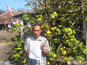 Menunggu Solusi Hukum Nelayan Penangkap 6 Kg Kepiting di Bantul