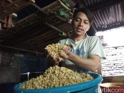 Rencana Mentan Agar RI Nggak Impor Kedelai Lagi