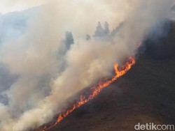 Setahun Lalu, Savana Gunung Bromo Juga Hangus Terbakar