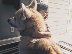 Hewan Mana yang Paling Memahami Ucapan Manusia, Anjing atau Burung Beo?