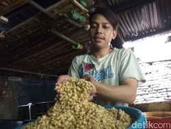 Dolar AS Masih Tinggi, Harga Kedelai Bahan Baku Tempe Naik