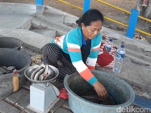 Berkah Penjual Ikan Musiman Saat Wisata Waduk Notopuro Mengering