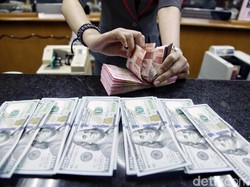 Menguat Tipis, Dolar AS Tekan Rupiah ke Rp 13.635