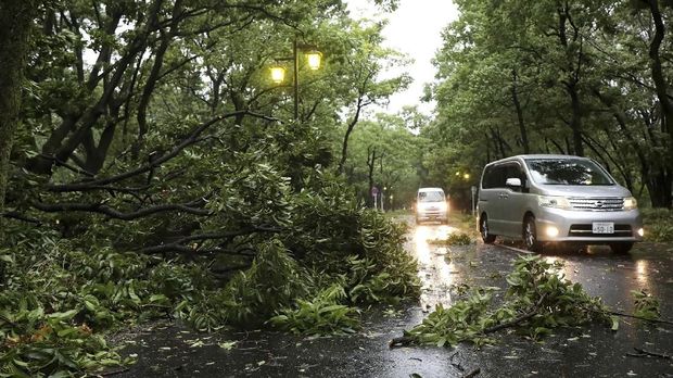 Di Negeri Sakura Saat Badai Melanda