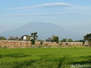 Angin Kencang, Kebakaran Gunung Lawu Merambat ke Atas