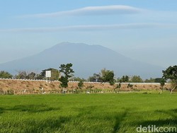 Angin Kencang, Kebakaran Gunung Lawu Merambat ke Atas