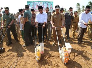 Mentan dan PBNU Gelar Tanam Jagung Serentak 73.000 Hektar