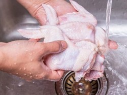 Ayam Tidak Boleh Dicuci Sebelum Dimasak, Ini Alasannya