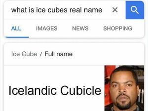 Plesetan Nama-nama Asli Artis Dunia