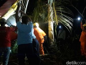 Saksi: Pesawat Tersangkut Pohon, Pilot dan Co-Pilot Turun Sendiri