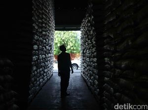 Rem PPKM Darurat Ditarik, Cadangan Pangan Aman?