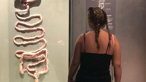 Belajar Organ Manusia di Museum Jenazah, Ngeri atau Keren?