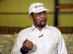 Bulog Terjerat Utang Rp 13 Triliun!