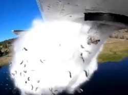 Percaya atau Tidak, Ada Hujan Ikan di Amerika Serikat