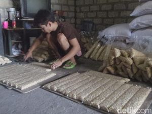 Pengrajin Tempe di Lamongan Ikut Kena Imbas Dolar AS Pengrajin Tempe di Lamongan Ikut Kena Imbas Dolar AS