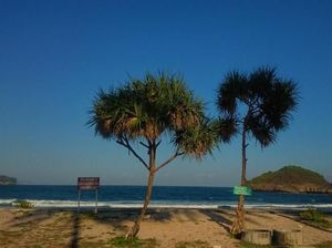 Pantai Tersembunyi yang Menawan di Pacitan