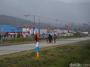 Potret Kabupaten Pegaf dan Denda Penabrak Babi