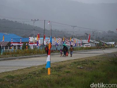 Potret Kabupaten Pegaf dan Denda Penabrak Babi