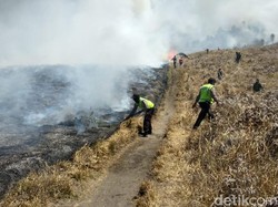 Kebakaran Savana Bromo Tak Ganggu Ekosistem dan Kunjungan Wisatawan