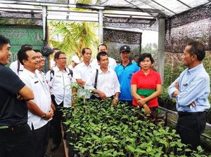 Kembangkan Rumah Pangan, Warga Ini Bisa Hemat Rp 500 Ribu/Bulan
