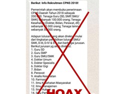 KemenPAN-RB: Pesan Berantai Penerimaan 200 Ribu CPNS 2018 Hoax!