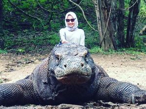 Liburan Naik Komodo di Pulai Rinca