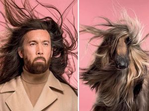 Potret Lucu Ekspresi Manusia dan Anjing yang Punya Kemiripan